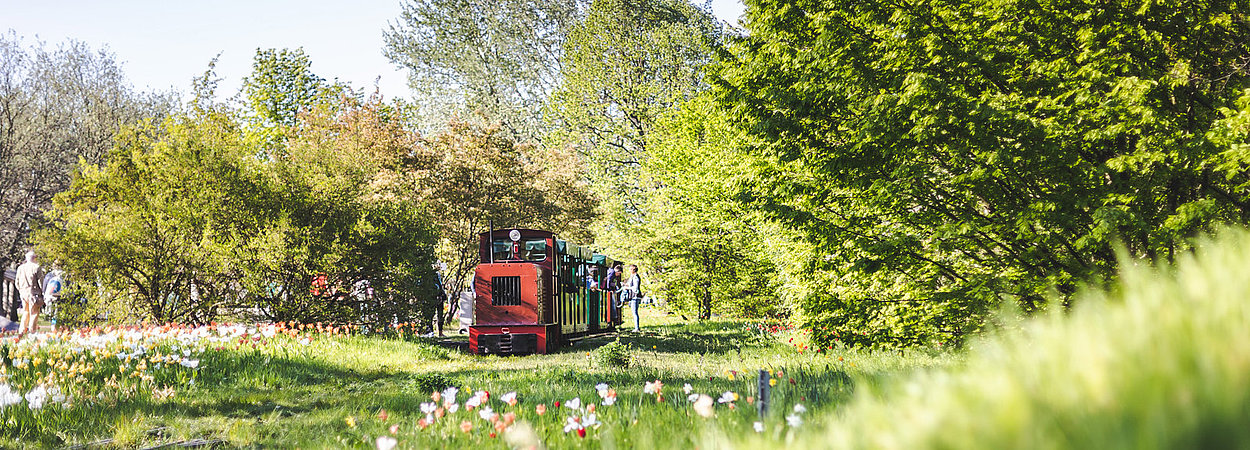 Die Parkbahn im Britzer Garten