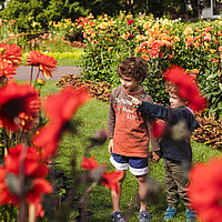 Zwei Kinder bewundern rot und orange blühende Dahlien